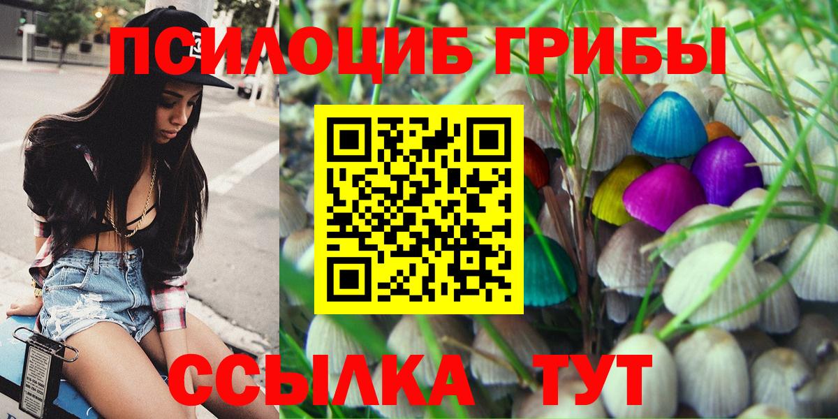 Архангельск  Псилоцибиновые грибы Cubensis  Вход с VPN 