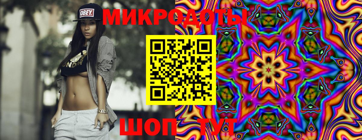 Псилоцибиновые грибы Psilocybe Архангельск